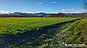 20230109_154034 - Dalla terra... il grano
